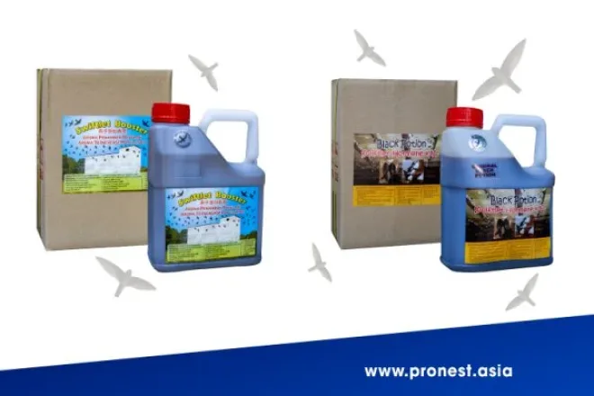 Dung dịch Black Potion & Swiftlet Booster – Mùi hương hấp dẫn chim yến hiệu quả